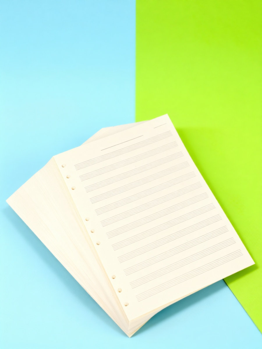 100枚入り、5線譜、2mm間隔の楽譜用紙。学生や作曲家向け - Blank Sheet Music Notebook のレビューと価格
